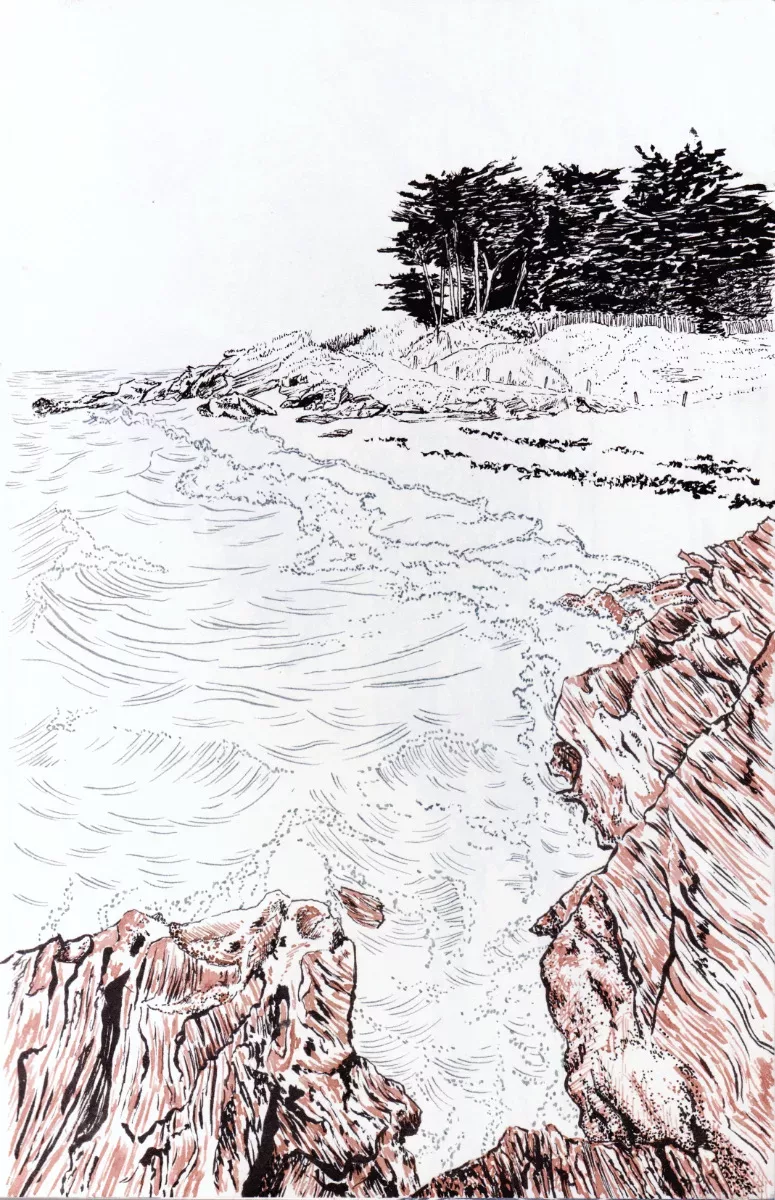 drawing of a beach with rocks on the foreground and trees in the background, made with orange, grey and black inks